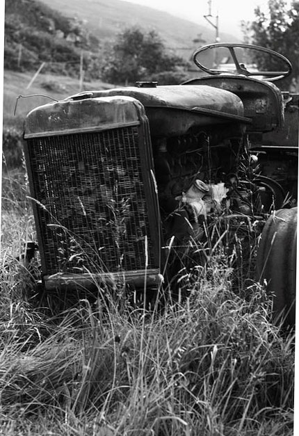  Оставленный трактор(фото)